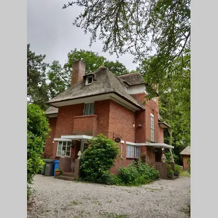 Villa Vrijstaande Rietgedekte Nabij Uitvalswegen *
