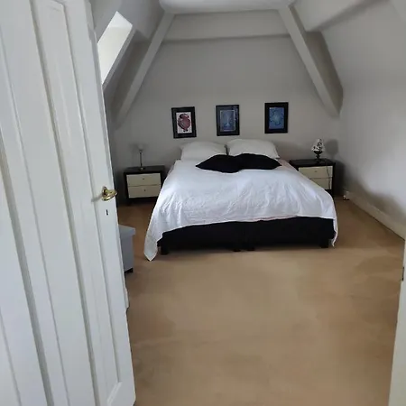 Villa Vrijstaande Rietgedekte Nabij Uitvalswegen Wassenaar