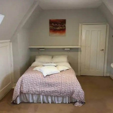 Vrijstaande Rietgedekte Nabij Uitvalswegen Villa Wassenaar