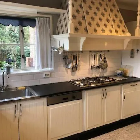 Vrijstaande Rietgedekte Nabij Uitvalswegen Villa *