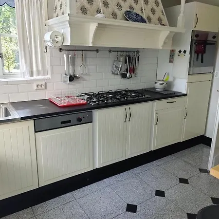 Vrijstaande Rietgedekte Nabij Uitvalswegen Villa